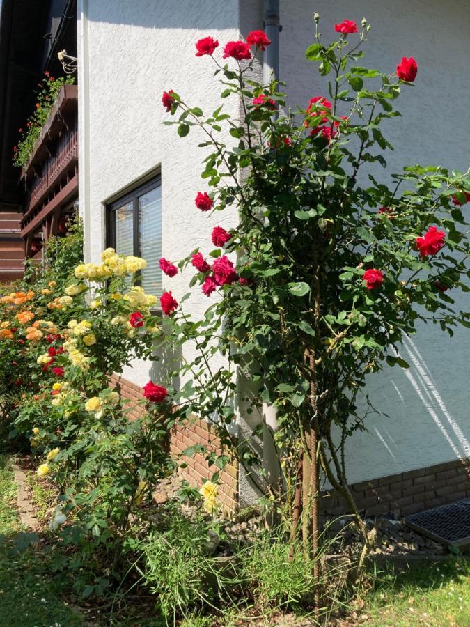 Ferienwohnung Rosengarten Osburg Luaran gambar
